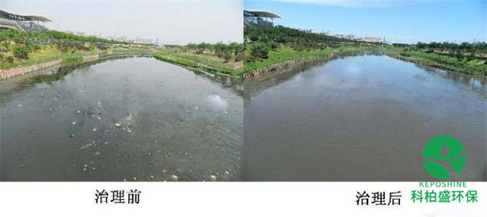 1277�Ǽʵ���(�й���)�ٷ���Ϸ��ַ