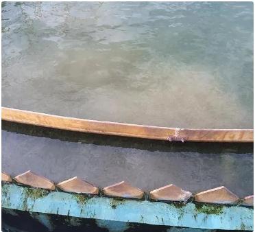 1277�Ǽʵ���(�й���)�ٷ���Ϸ��ַ