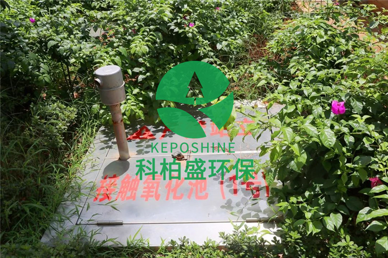 1277�Ǽʵ���(�й���)�ٷ���Ϸ��ַ