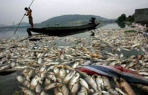 1277�Ǽʵ���(�й���)�ٷ���Ϸ��ַ